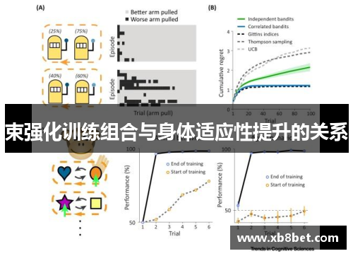 束强化训练组合与身体适应性提升的关系
