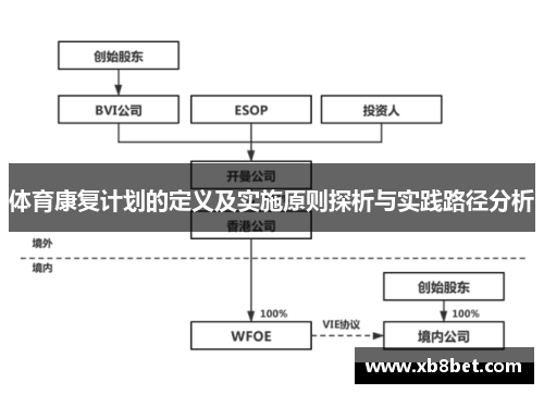 体育康复计划的定义及实施原则探析与实践路径分析